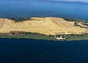 Beyşehir Gölü’ndeki ‘Çeçen Adası’ metrekaresi 9 dolardan satışa çıkarıldı