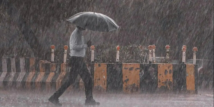 Bu İllerde Yaşayanlar Dikkat! Meteoroloji'den Sağanak, Sis ve Pus Uyarısı