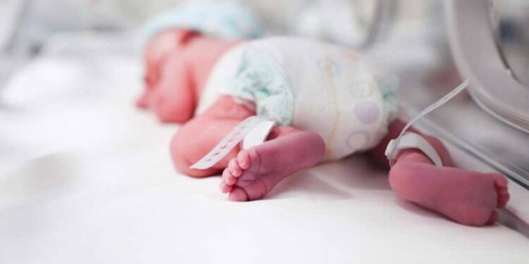 CHP, 4 isim hakkında suç duyurusunda bulundu