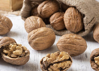 Cevizin Faydaları Neler? Ceviz Neye İyi Gelir?