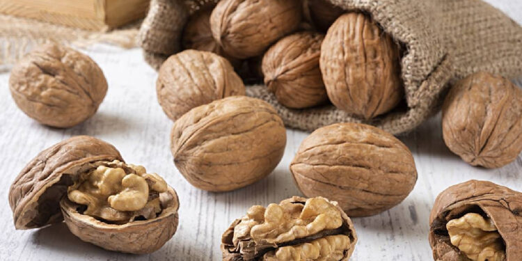 Cevizin Faydaları Neler? Ceviz Neye İyi Gelir?