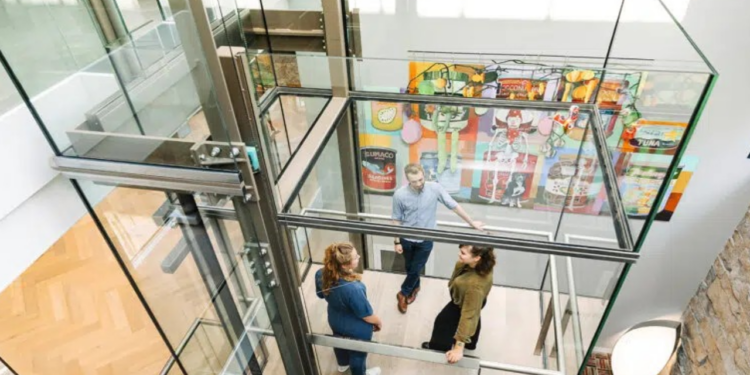 Çöp Sanıp Attı Ama Meğer Servet Değerindeymiş! Müzeyi Karıştıran Olay