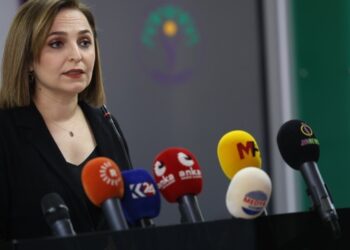 DEM Parti’den Özer tepkisi: Kimse seyirci kalmamalı