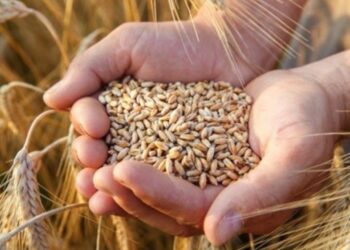 DEM Parti’den tarımın desteklenmesi için kanun teklifi