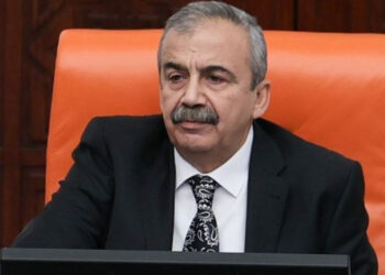 DEM Partili Sırrı Süreyya Önder'den Cumhurbaşkanı Erdoğan'a Teşekkür