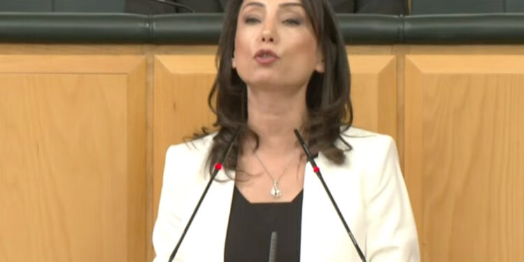 DEM’li Hamitoğulları’ndan Bahçeli’ye cevap: “Biz zaten Türkiye partisiyiz!”