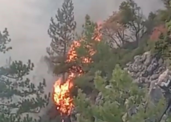 Denizli'deki Orman Yangını İkinci Gününde