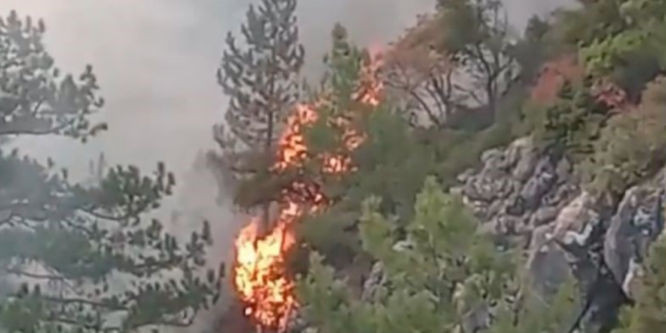 Denizli'deki Orman Yangını İkinci Gününde