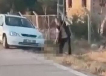 "Devlet kanun çıkardı köpekleri öldürmek için" diyerek dirgenle yavru köpek öldüren sanığa tahliye!