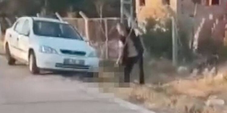 "Devlet kanun çıkardı köpekleri öldürmek için" diyerek dirgenle yavru köpek öldüren sanığa tahliye!