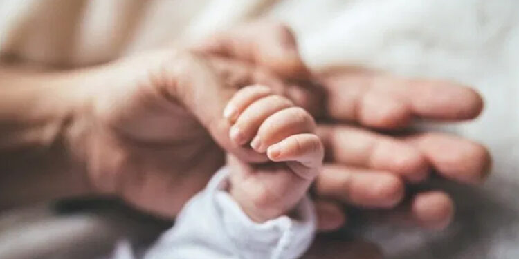 Doktorun 266 yıl hapsi istendi