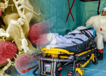 Dünyada Yeni Virüs Alarmı! Marburg Virüsü Hızla Yayılıyor, Ölüm Oranı Yüzde 88