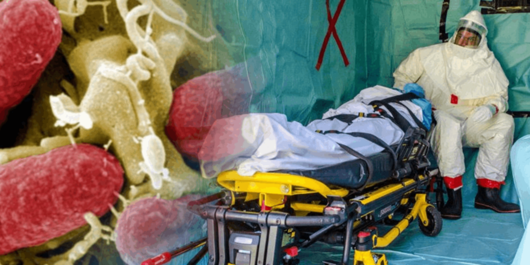 Dünyada Yeni Virüs Alarmı! Marburg Virüsü Hızla Yayılıyor, Ölüm Oranı Yüzde 88