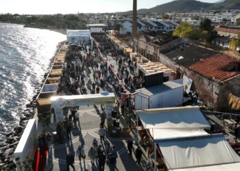 FestOlive Edremit Zeytinyağı Tadım Festivali Başladı