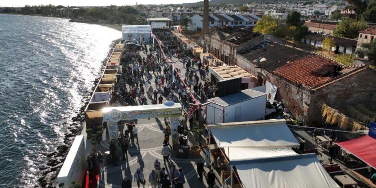 FestOlive Edremit Zeytinyağı Tadım Festivali Başladı