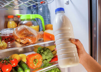 Gıda Katkı Maddeleri Tehlike Saçıyor