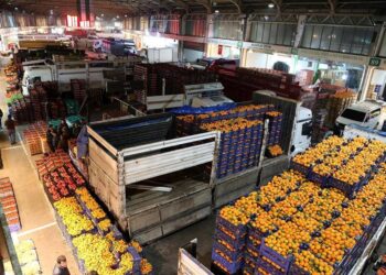 Gıdadaki kritik sorunlar için 3 bakanlık düğmeye bastı