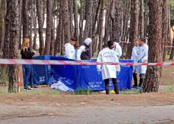 Hastane bahçesinde cinayet; önce karısını öldürdü, sonra intihar etti