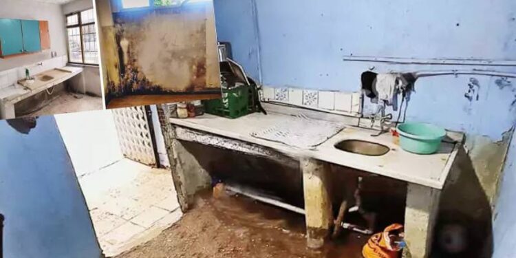 İstanbul’da şaşkınlık yaratan ev ilanları: Penceresiz, rutubetli, kırık dökük…