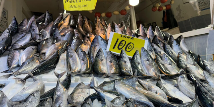 Karadeniz’de Hamsi El Yakıyor: Kilogramı 200 TL'ye Ulaştı