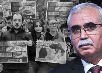 Katliamlara Tepkiler Çığ Gibiydi... AYM Başkanı'ndan 'Sokak Hayvanları' Talimatı!