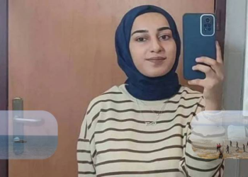 Kayıp Rojin'i arama çalışmaları 12. gününde gölde ve karada devam ediyor