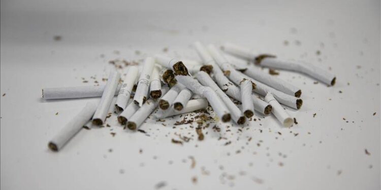 Latin Amerika ve Karayipler'de tütünün vergilendirilmesinde reforma ihtiyaç var