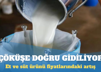 Et ve süt ürünü fiyatlarındaki artış: Çöküşe doğru gidiliyor