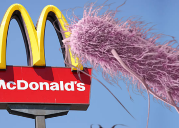 Mcdonald's'ın Adı ABD’de Gıda Skandalına Karıştı: Ölü ve Yaralılar Var