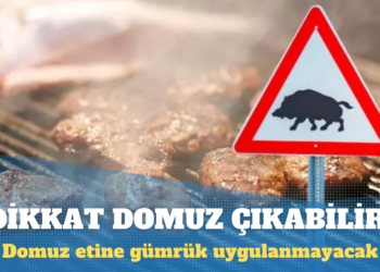 Meclis’ten geçti: Domuz ve eşek eti için gümrük uygulanmayacak
