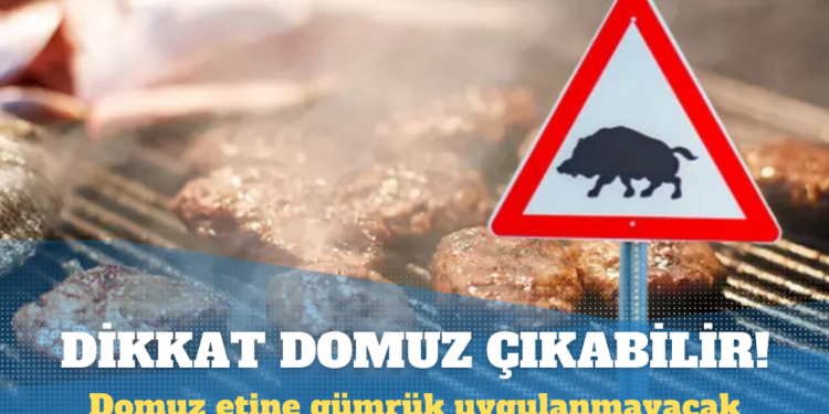 Meclis’ten geçti: Domuz ve eşek eti için gümrük uygulanmayacak