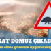 Meclis’ten geçti: Domuz ve eşek eti için gümrük uygulanmayacak