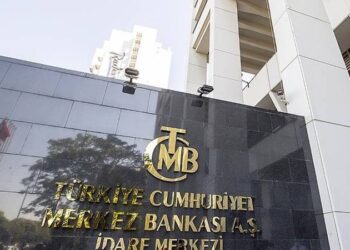 Merkez Bankası döviz alımını yavaşlattı