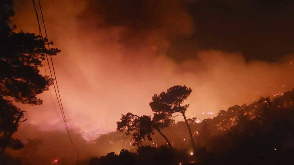 Muğla’da üç bölgede orman yangını