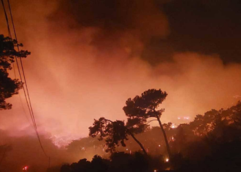 Muğla’da üç bölgede orman yangını