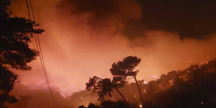 Muğla’da üç bölgede orman yangını