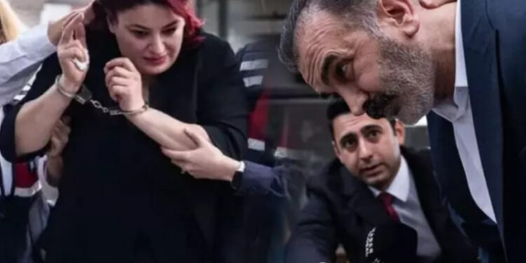 Sağlık sistemi özelleştiriliyor, Sağlık Bakanı bizzat siyasi sorumlu