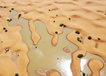 Sahra Çölü’nde 50 yıl aradan sonra sel meydana geldi