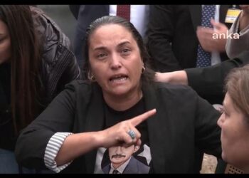 Sinan Ateş'in ablası Selma Ateş'e saldırı