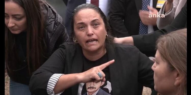 Sinan Ateş'in ablası Selma Ateş'e saldırı