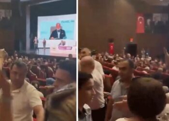 Sokak hayvanlarına “katliam yasasını” hazırlayan AKP’li Yenişehirlioğlu’na protesto