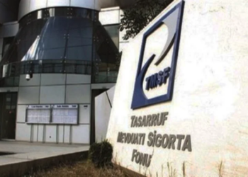 Solidarity with Others’ın raporu, Türkiye’deki yağma ve gasp düzenini ortaya koydu