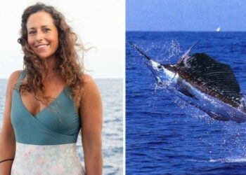 Sörfçü, Kılıç Balığı Saldırısında Öldü