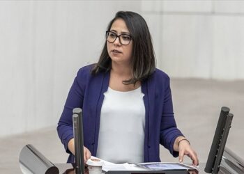 TİP Sözcüsü Kadıgil, Tarım ve Orman Bakanlığı'ını "hayvan katliamı" konusunda göreve çağırdı: Uyuyor musunuz?