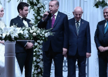 TMSF’nin gasp ettiği şirketlerin içini boşaltmıştı: AKP’li Nurettin Canikli’nin oğlu Saray’a atandı