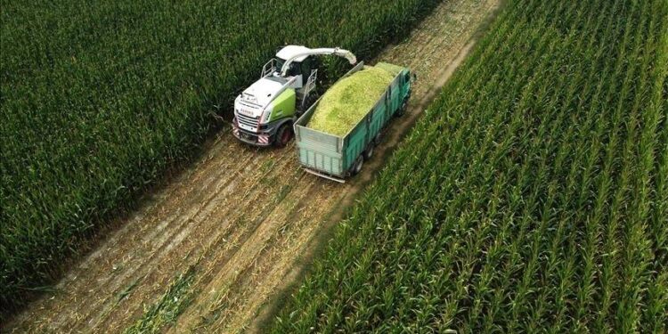 Tarımda üretici enflasyonu eylülde yüzde 31,09 oldu