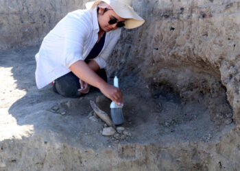 Türkiye'de Bulundu! 5 Bin Yıllık Gizem Çözülecek