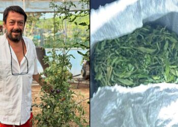 Ünlülerin ”Bostan Baba”sı uyuşturucu üreticisi çıktı