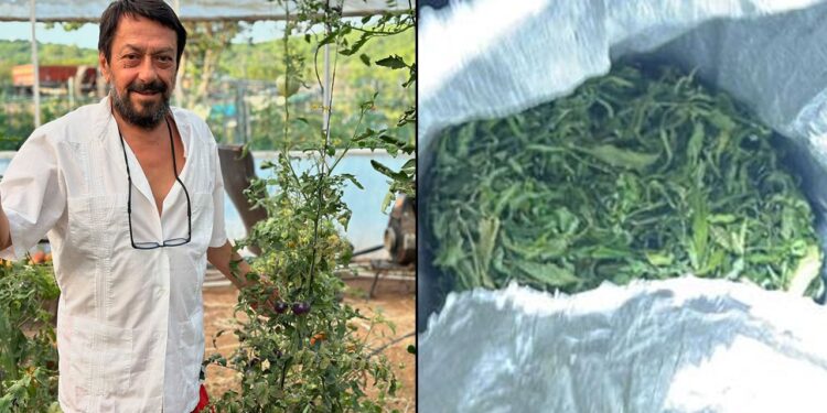 Ünlülerin ”Bostan Baba”sı uyuşturucu üreticisi çıktı