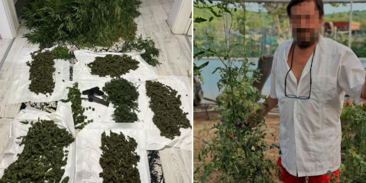 Ünlülerin Şifacısı Baston Baba’ya Baskın! Organik Tarladan Uyuşturucu Çıktı
